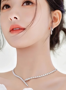 满钻细蛇项链女新款轻奢小众高级感高端奢华潮流颈链毛衣链配饰