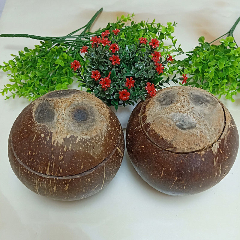 海南抛光椰皇老椰子椰子碗椰子冻专用新鲜水果可切口1个装2个包邮