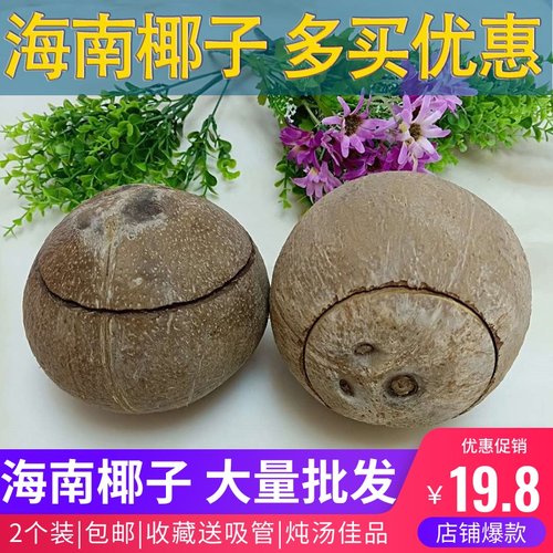 海南新鲜切口老椰子2个装预开口切痕椰子开盖椰子炖汤炖盅 包邮