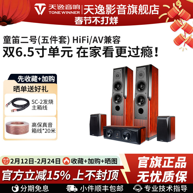 Winner/天逸 童笛二号TD-2家庭影院HIFI落地音箱专业木质无源音响