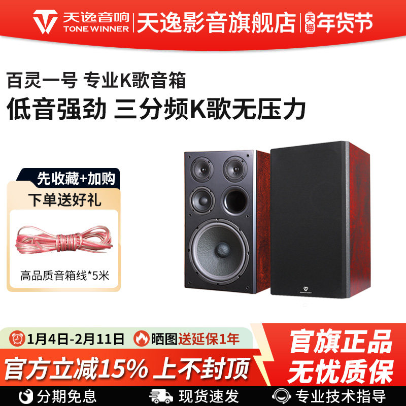 Winner/天逸 BL-1百灵一号卡拉OK音箱专业KTV家庭K歌卡包音箱