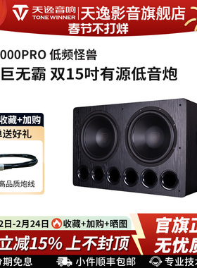 天逸风暴SUB-8000PRO双15寸大功率DSP专业影院发烧HiFi有源低音炮