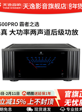 Winner/天逸AD-2500PRO功放高保真立体两声道发烧家用大功率后级