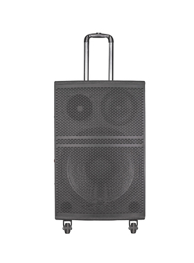 Ridiss 广场舞音响专业户外k歌音箱带话筒家用拉杆蓝牙手拉麦克风