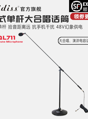 Ridiss 有线立式单杆大合唱话筒 专业演讲会议电容礼堂朗诵麦克风