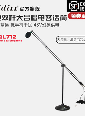 Ridiss QL712落地立式双杆专业大合唱话筒会议演讲朗诵电容麦克风