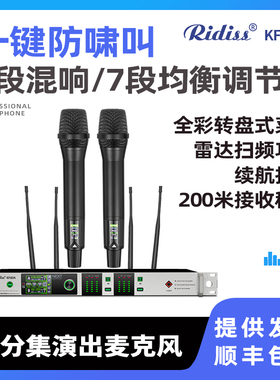Ridiss一拖二真分集无线演出话筒带防啸叫/混响家庭K歌KTV麦克风