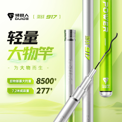 领路人激战917轻量大物竿鲢鳙暴力巨物鱼竿手竿超轻硬钓鱼竿手杆