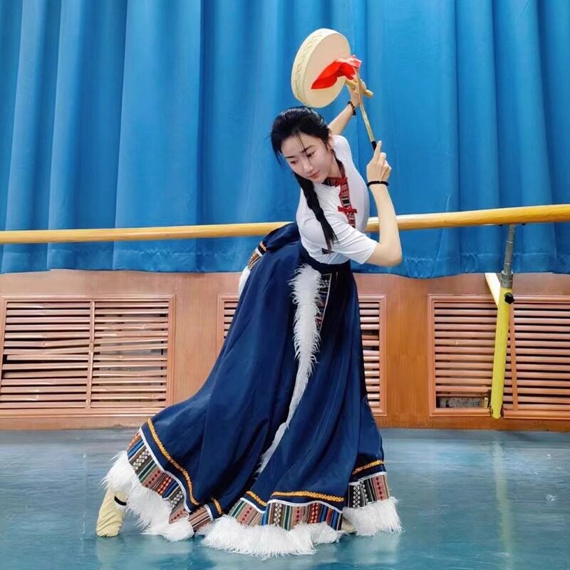 藏族舞蹈演出服女藏服广场舞大摆裙半身裙艺考学生考级练功服新款