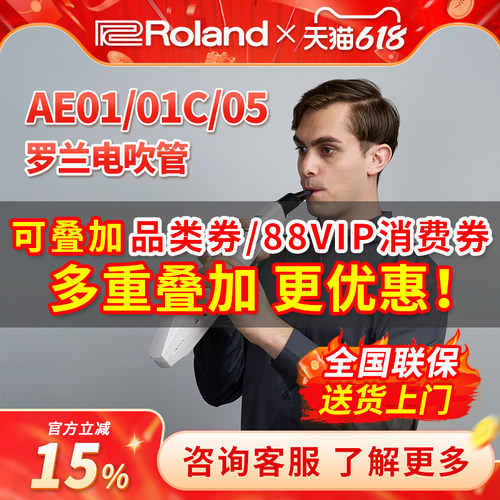 罗兰AE01C电吹管Roland