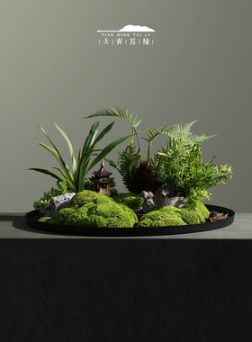 永生苔藓酒店餐桌中间摆件