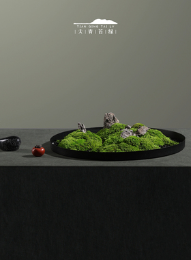 天青苔绿新中式禅意永生苔藓