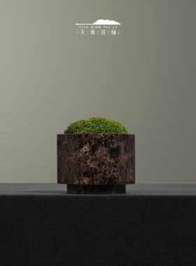 天青苔绿中古风大理石永生苔藓