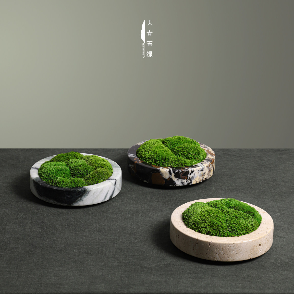 永生苔藓茶室简约装饰摆件