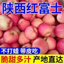 2025陕西洛川正宗红富士苹果冰糖心脆甜整箱新鲜直发果园一整箱