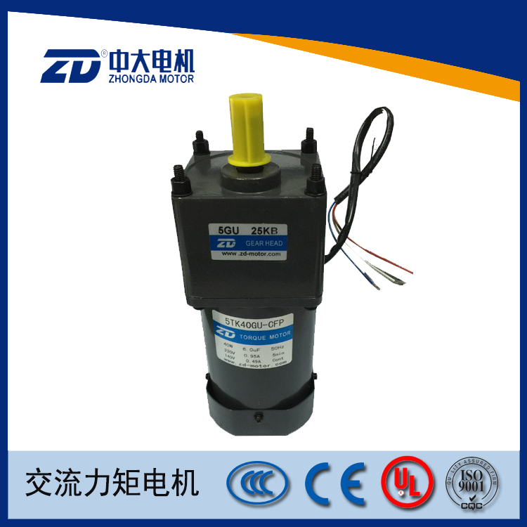 中大40W力矩马达5TK40GU-CFP/5GU25KB橡胶机械用转矩马达堵转电机