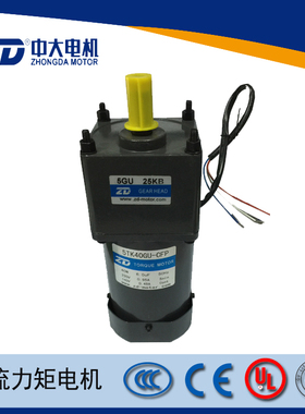 中大40W力矩马达5TK40GU-CFP/5GU25KB橡胶机械用转矩马达堵转电机