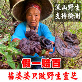 贵州纯野生灵芝紫灵芝林芝非特级整枝可切片泡酒黑灵芝250g