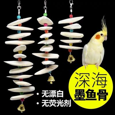 鹦鹉鸟用鸟具骨玄凤零食