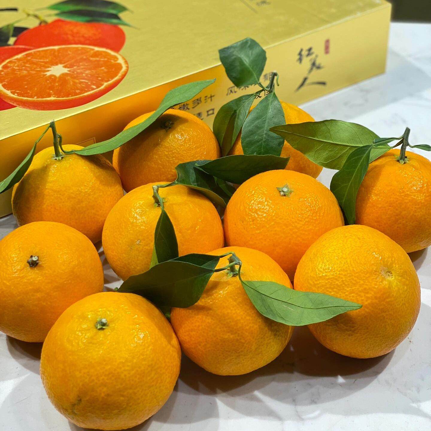 现货正宗象山红美人柑橘礼盒装 糖度12+新鲜上市8-12粒橘子顺丰,水产肉类/新鲜蔬果/熟食,桔子,淘宝优惠券,粉丝福利购,淘宝优惠卷