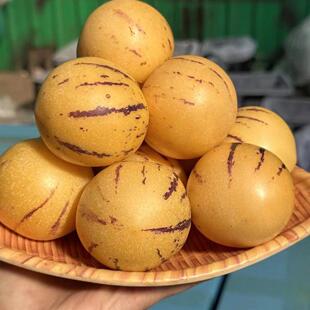 云南自然熟人参果低糖礼盒装黄肉圆果爆汁七彩果新鲜水果