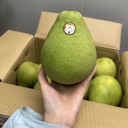 台湾麻豆文旦柚礼盒装