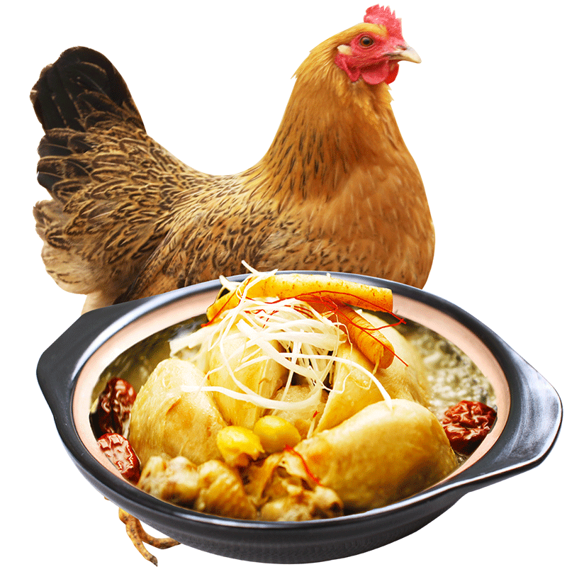 农家放养土鸡老母鸡农家鸡新鲜草鸡跑山鸡贵州果园柴火鸡整只