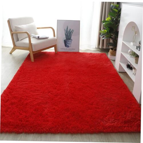 Fluffy Area Rugs for Bedroom Shaggy Floor Mat Carpet 地毯垫