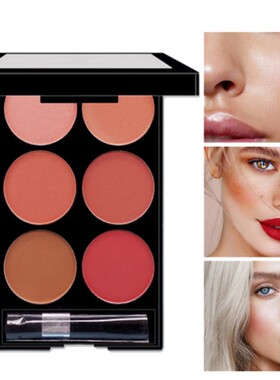 12-color iron box concealer blush cream matte highlight cont