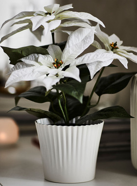 IKEA宜家 云芬特人造盆栽植物 白色一品红仿真植物装饰植物绿植