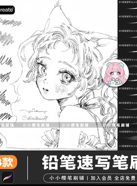 ps笔刷铅笔速写草图勾线素描木炭噪点彩铅起稿procreate笔刷素材
