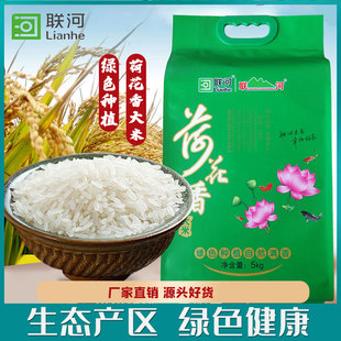 江南籼米 长粒香米新米农家自产米真空10斤装 联河 荷花香大米5kg