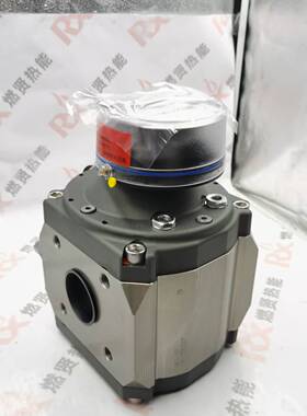 德国Elster埃尔斯特 RABO G250DN100PN16 气体腰轮流量计