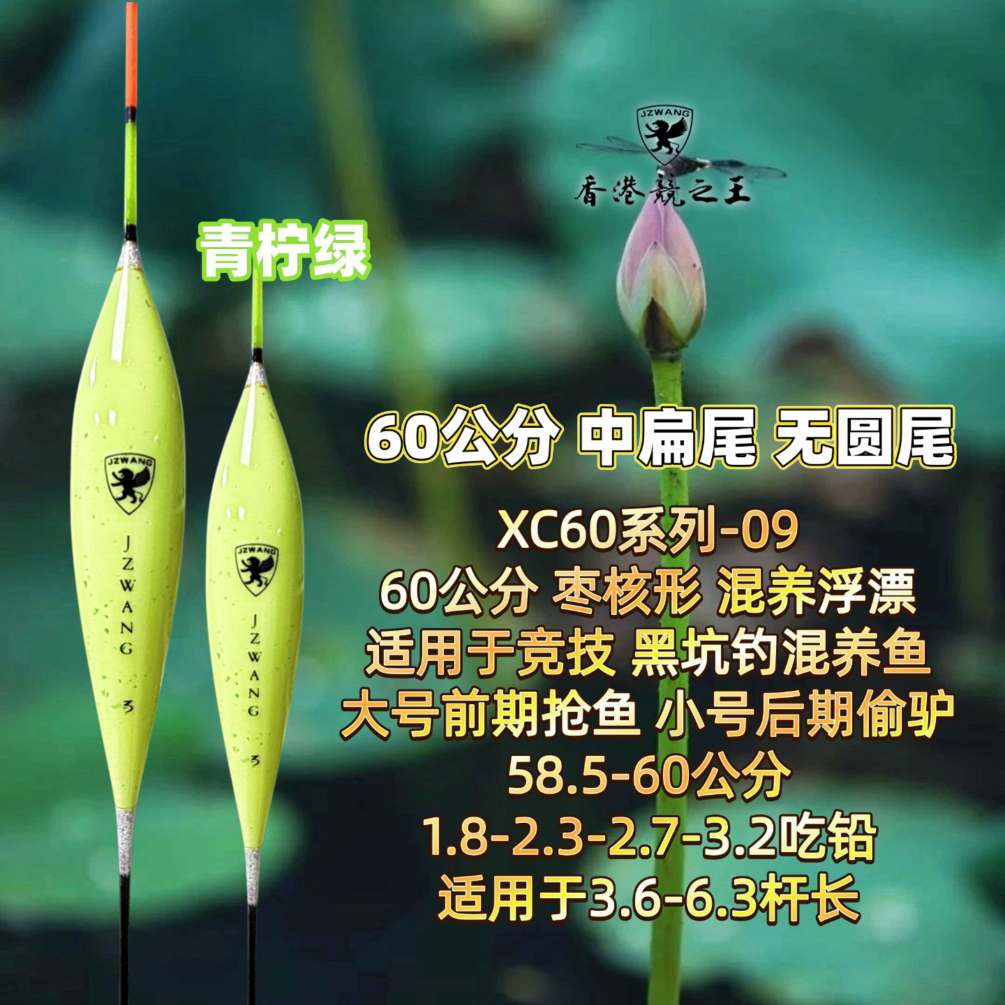 XC60-09 60公分 枣核形混养浮漂 中扁尾 纳米 香港竞之王 JZWANG