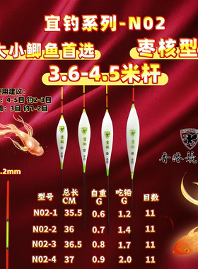 宜钓-N02 大小鲫鱼纳米浮漂 枣核形 JZWANG 中扁尾（类似款F39）