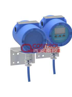 雷奥尼克 秦控设备选型报价 流量计 RHE42RCDDOEBAFFA2NN
