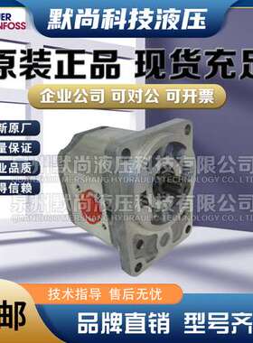 萨奥丹佛斯SAUER DANFOSS齿轮泵SNP1NN SNB1NN SNC1NN SNP1IN油泵