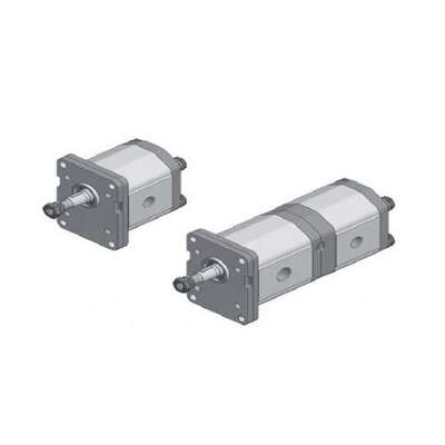 Roquet 1L22DE10R/8262H208LT 齿轮泵 液压油泵