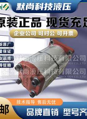 萨拉米SALAMI双联齿轮泵2PE16/19D-P28P1 2PE19/26D-P28P1液压泵