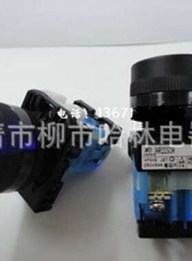 按钮开关 AR22FOR-11