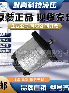 土耳其BLUE ASCEND齿轮泵AP30.470 AP30.510 AP30.560 AP30.610泵