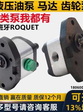 西班牙ROQUET油泵1L6D 1LQ7.5D 1PLD54 1PLA36D 1LP7.5 1L12IJ23F