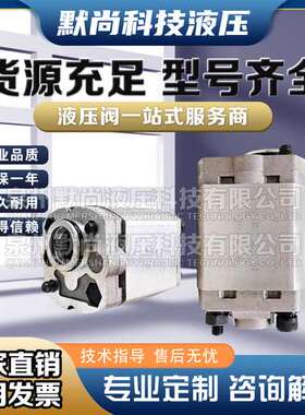 微型cbk齿轮泵小型举升机液压泵总成CBK-1.6/2.1油泵动力单元配件