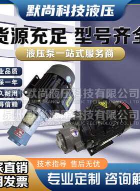 CB-B6/B10/B4/B2.5齿轮泵液压油泵电机组370W/550W润滑油泵头总成