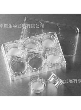 3412 Transwell嵌套，含6孔板（PC膜，24mm，0.4um)
