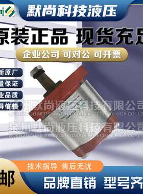 意大利萨拉米SALAMI齿轮泵2PE16/19/22.5/26D-P28P1-V液压油泵