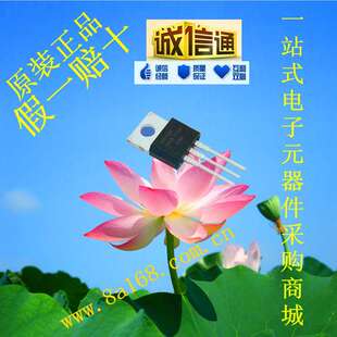 现货供应IRF1405PBF MOS管/场效应管/IGBT 原装正品