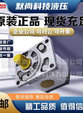 进口德国REXROTH-SIGMA力士乐齿轮泵1PF2G226/004LN01MHL液压油泵