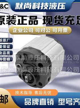 意大利B&C齿轮泵BG10-09/13/16/21/25/31/38/43/50/62/78R液压泵