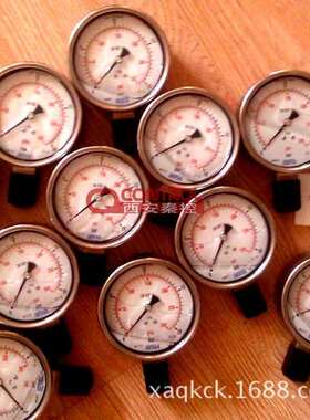 213.53.050 1 MPa M14*1.5 威卡压力表